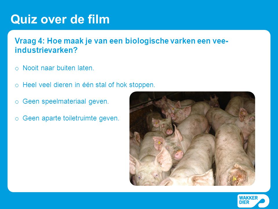 Quiz over de film Vraag 4: Hoe maak je van een biologische varken een vee-industrievarken Nooit naar buiten laten.