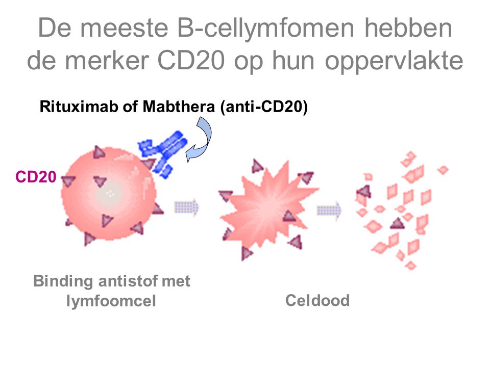 De meeste B-cellymfomen hebben de merker CD20 op hun oppervlakte