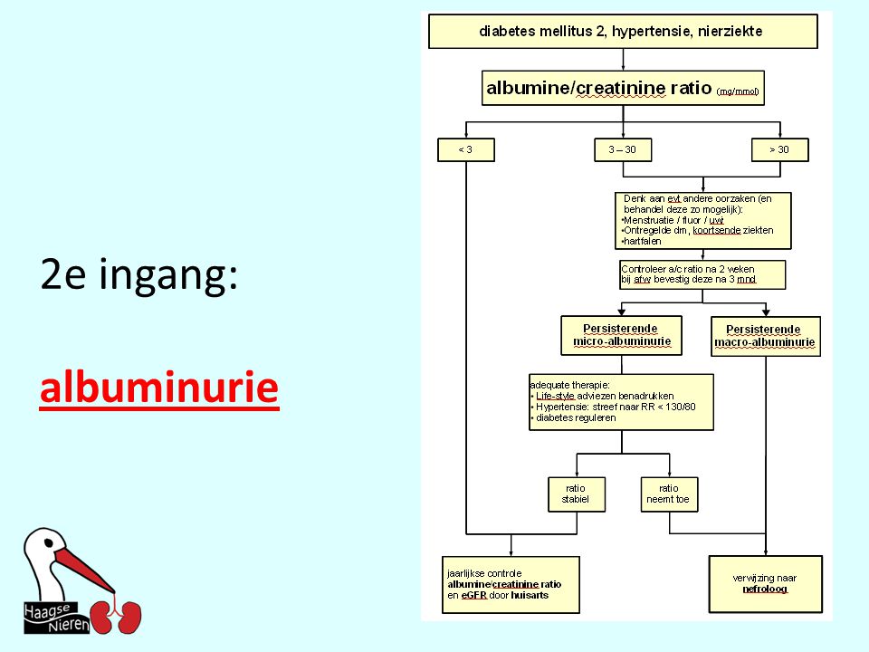 2e ingang: albuminurie