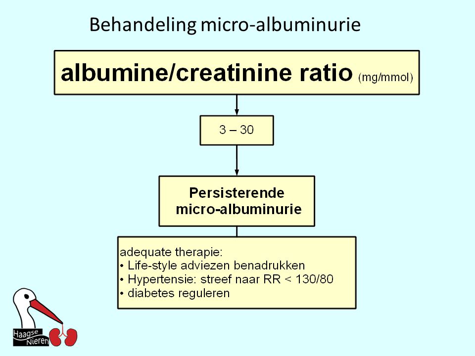 Behandeling micro-albuminurie