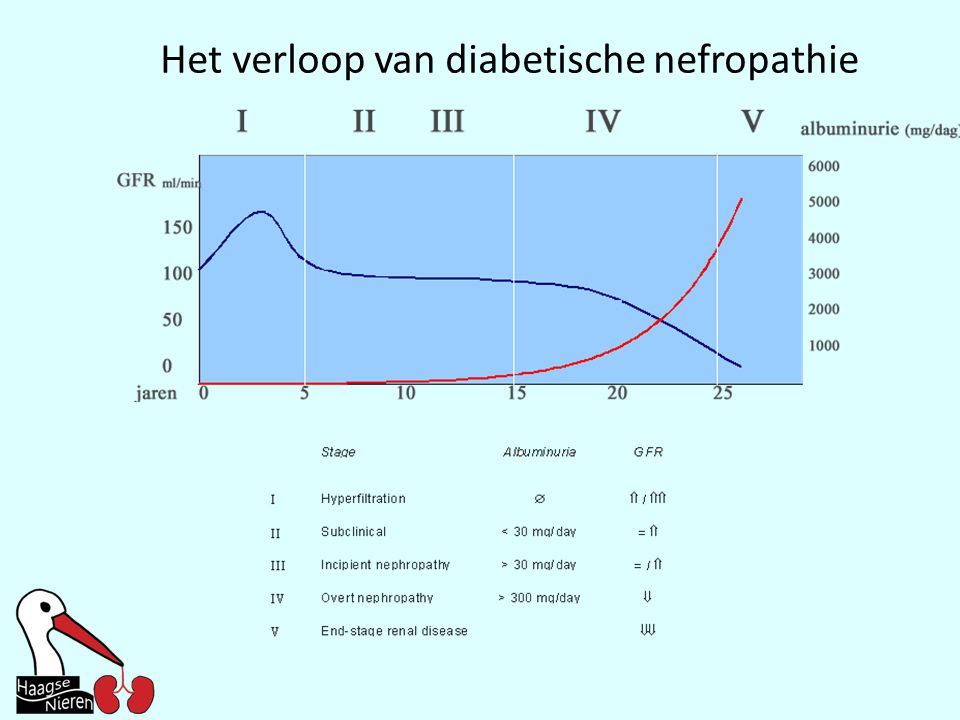 Het verloop van diabetische nefropathie