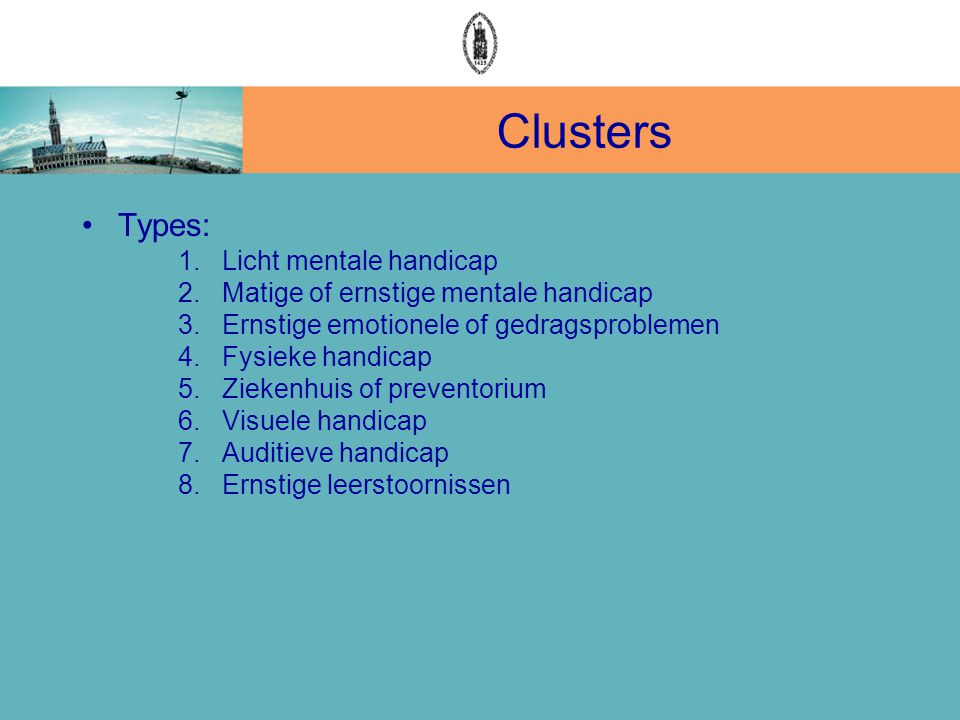 Clusters Types: 1. Licht mentale handicap