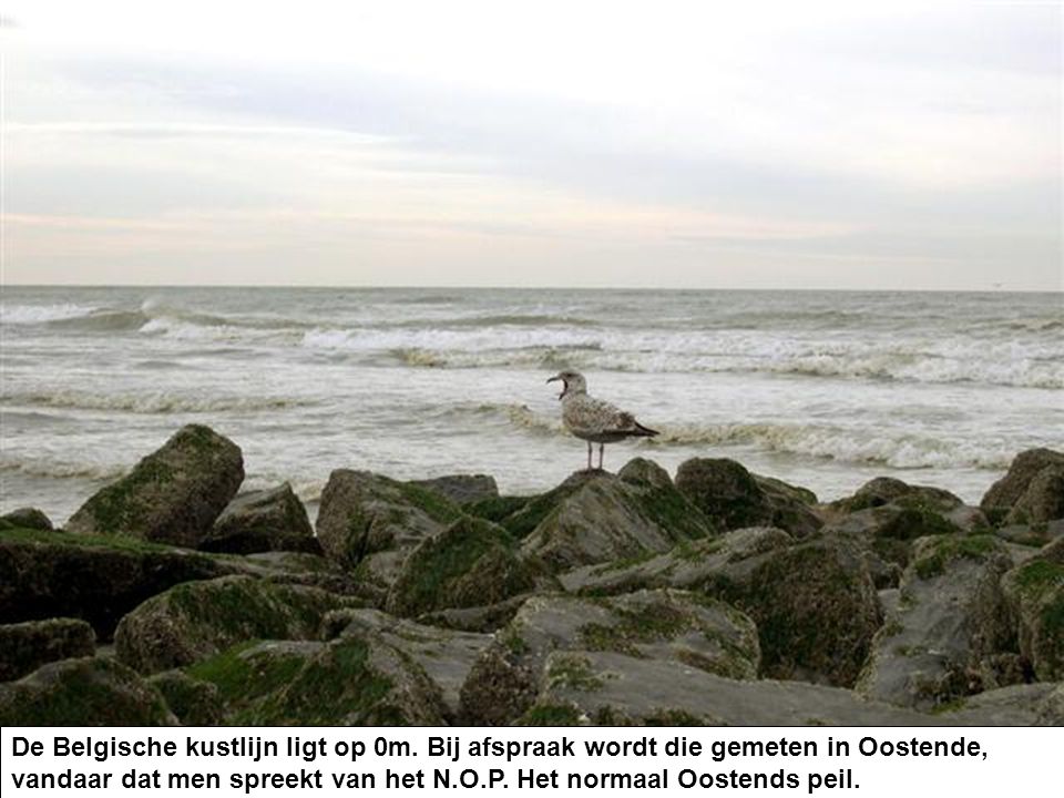 De Belgische kustlijn ligt op 0m