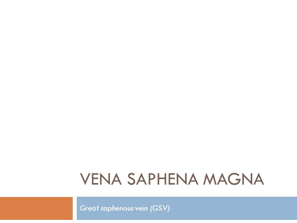 Great saphenous vein (GSV)