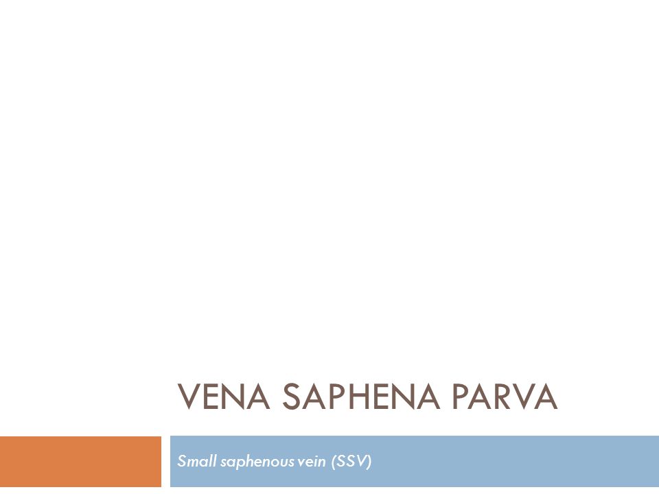 Small saphenous vein (SSV)