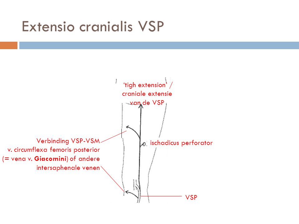 Extensio cranialis VSP