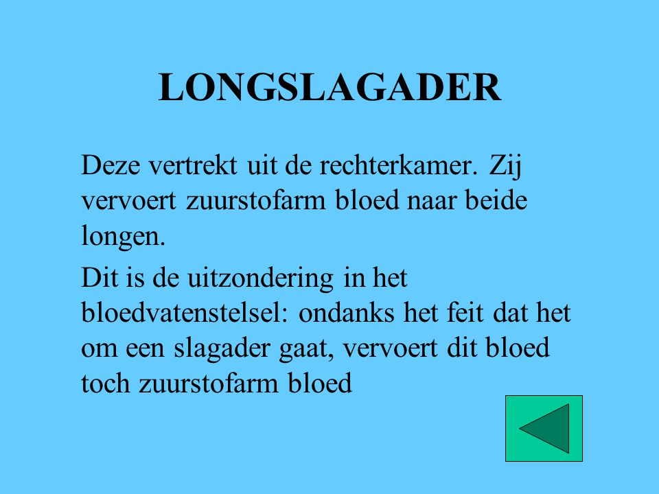 LONGSLAGADER Deze vertrekt uit de rechterkamer. Zij vervoert zuurstofarm bloed naar beide longen.