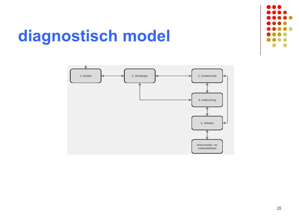 diagnostisch model