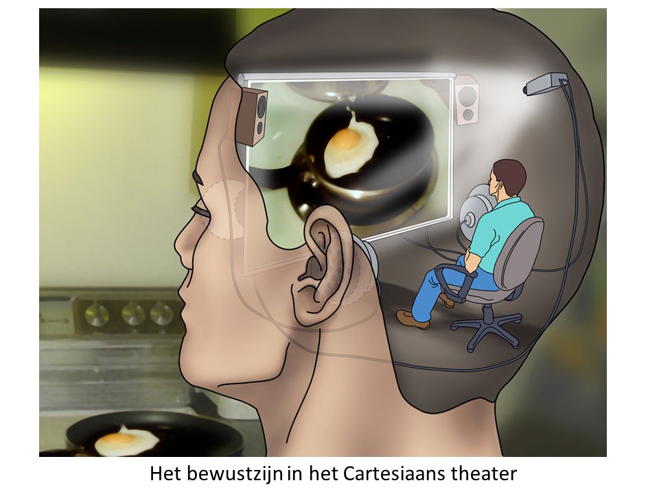 Het bewustzijn in het Cartesiaans theater