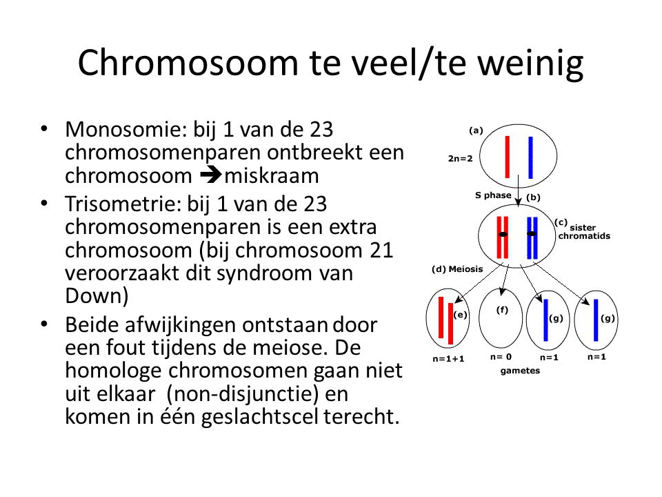 Chromosoom te veel/te weinig