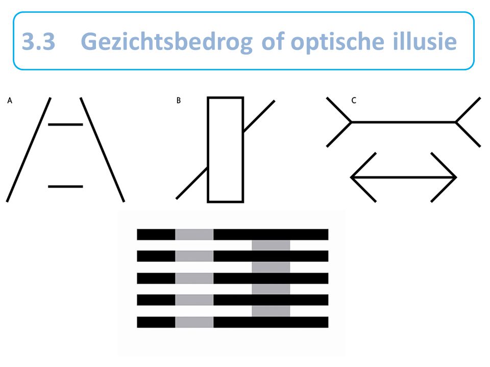 3.3 Gezichtsbedrog of optische illusie