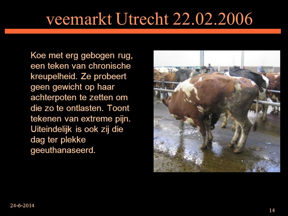 veemarkt Utrecht