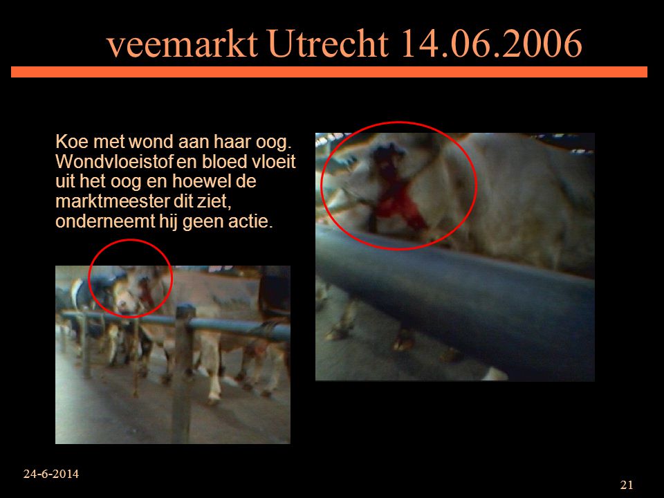 veemarkt Utrecht