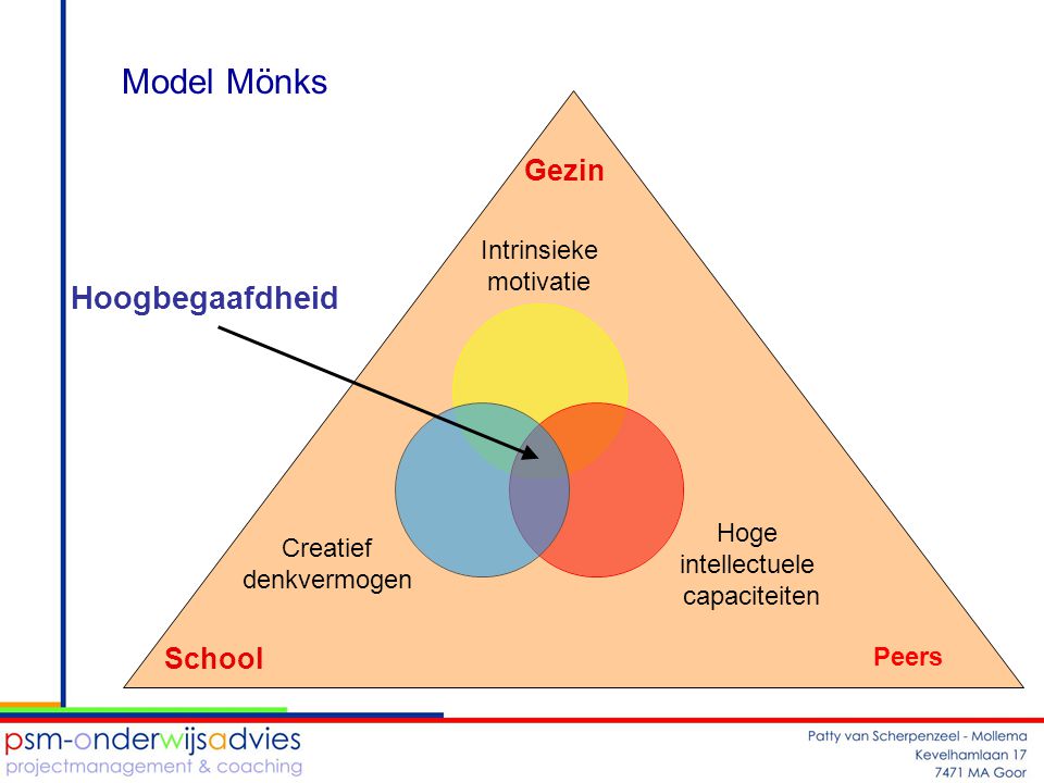 Model Mönks Gezin Hoogbegaafdheid School Peers
