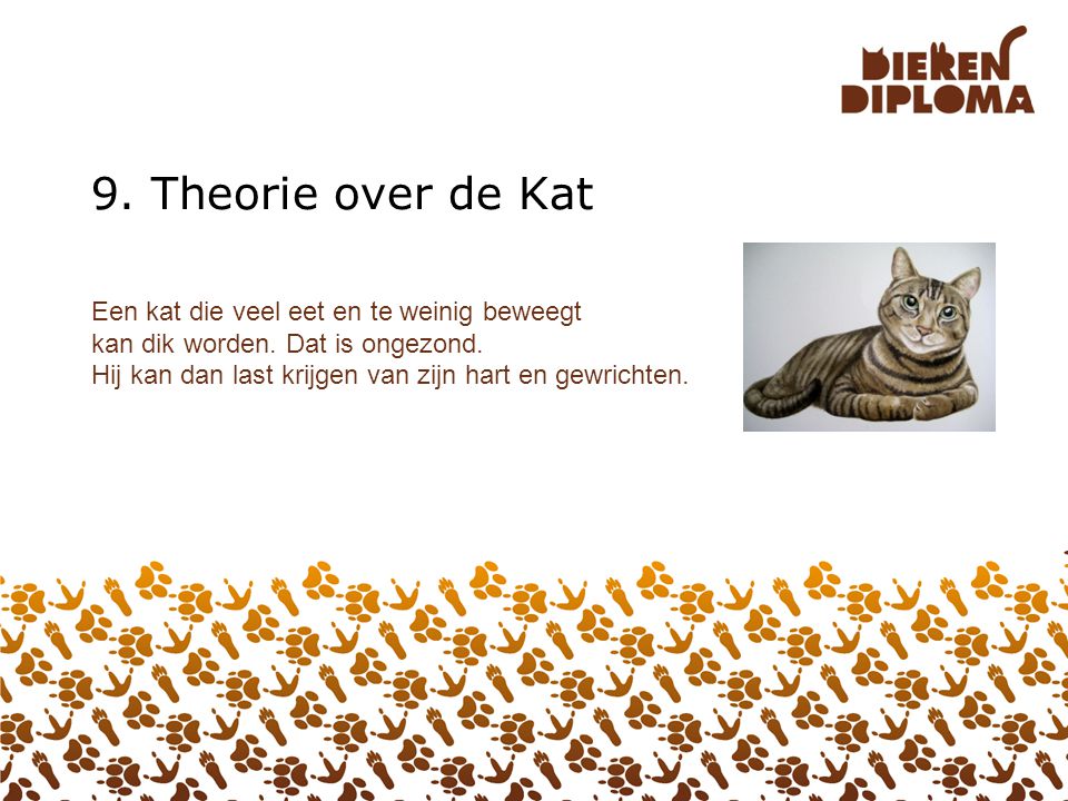 9. Theorie over de Kat