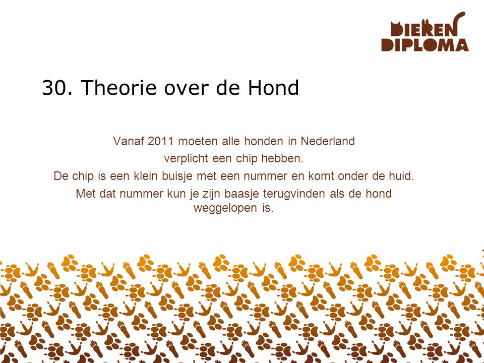30. Theorie over de Hond Vanaf 2011 moeten alle honden in Nederland