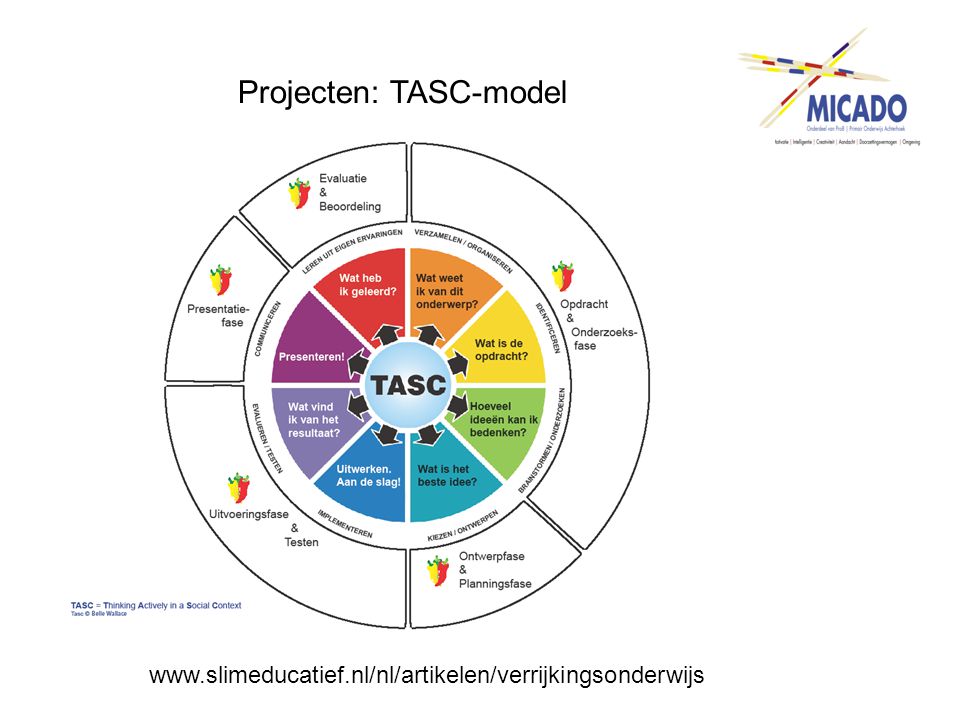 Projecten: TASC-model