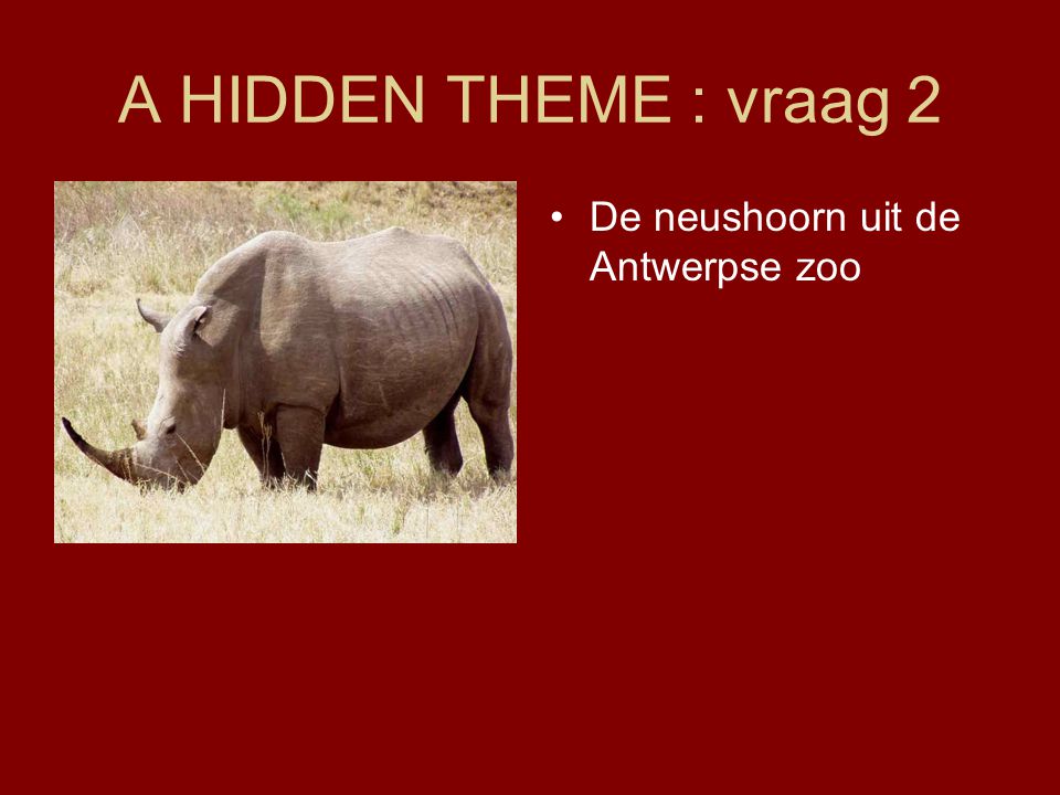 A HIDDEN THEME : vraag 2 De neushoorn uit de Antwerpse zoo