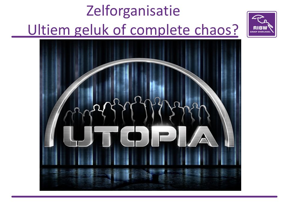Zelforganisatie Ultiem geluk of complete chaos