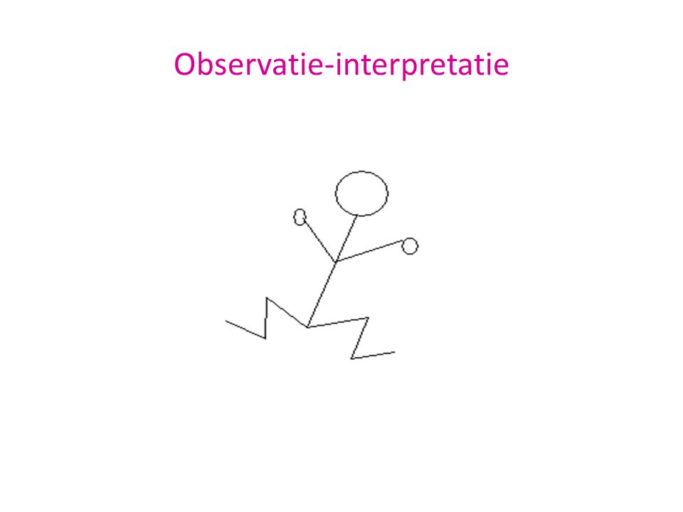 Observatie-interpretatie