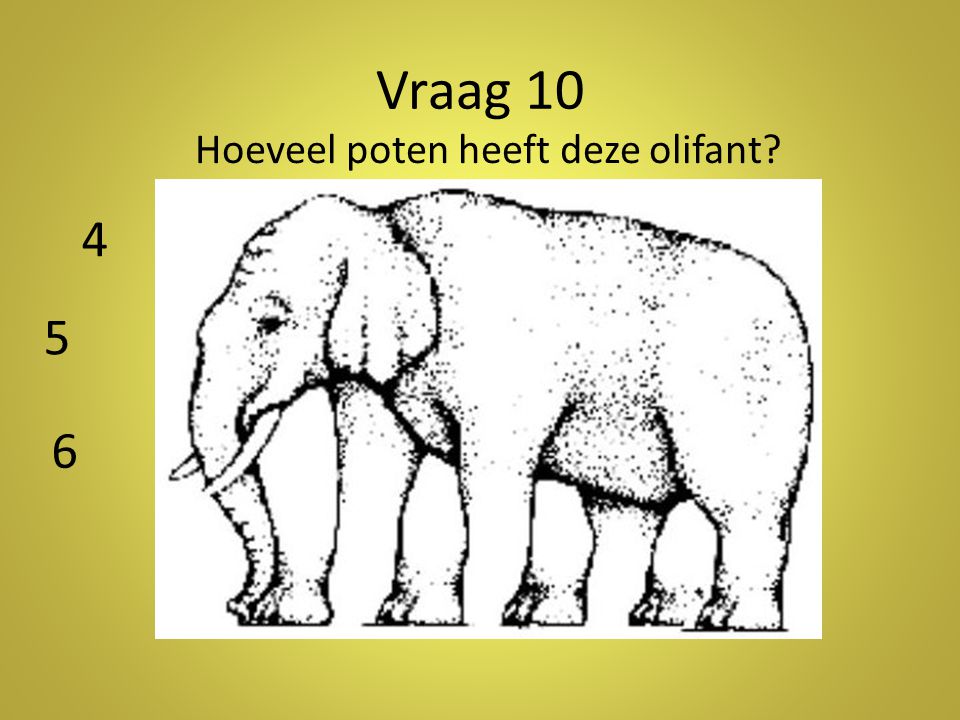 Vraag 10 Hoeveel poten heeft deze olifant Antwoord: 5