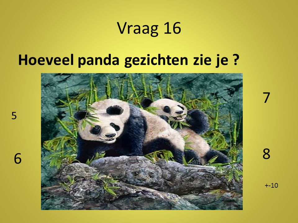 Vraag 16 Hoeveel panda gezichten zie je 7 5 Antwoord: