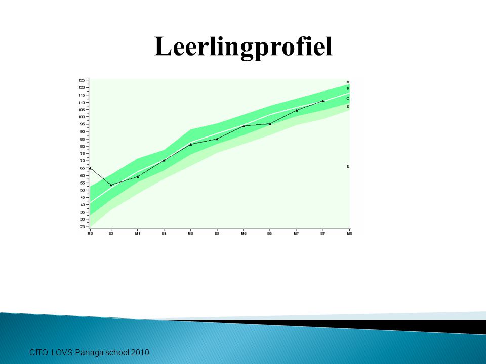 Leerlingprofiel CITO LOVS Panaga school 2010