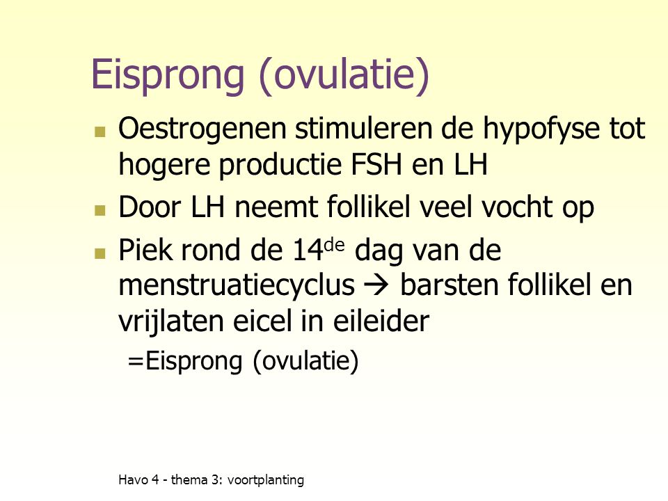 Eisprong (ovulatie) Oestrogenen stimuleren de hypofyse tot hogere productie FSH en LH. Door LH neemt follikel veel vocht op.