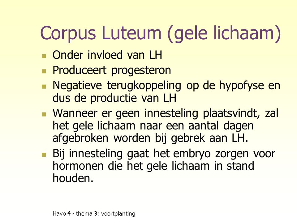 Corpus Luteum (gele lichaam)