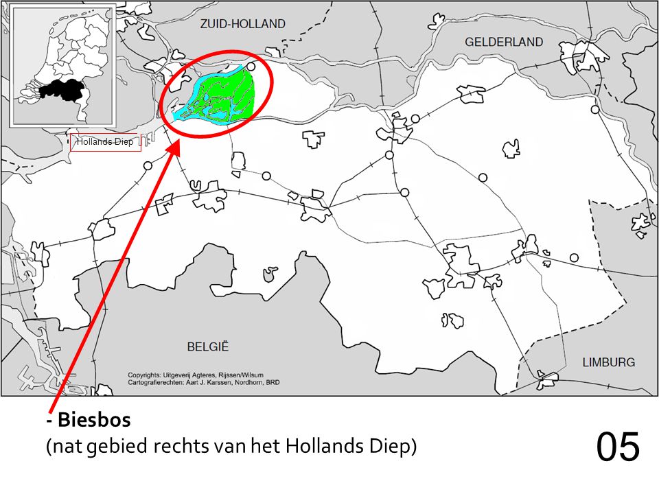 Hollands Diep - Biesbos (nat gebied rechts van het Hollands Diep) 05
