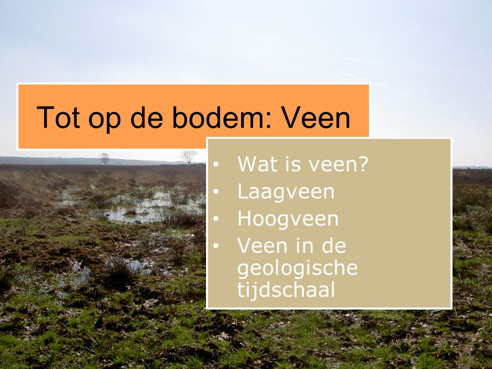 Wat is veen Laagveen Hoogveen Veen in de geologische tijdschaal