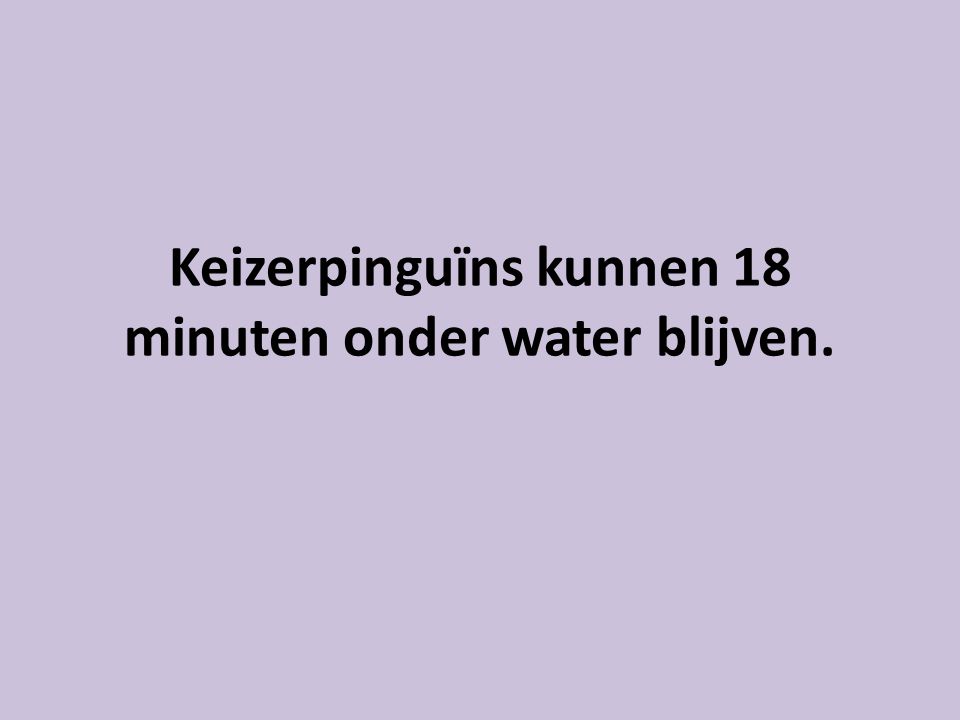 Keizerpinguïns kunnen 18 minuten onder water blijven.