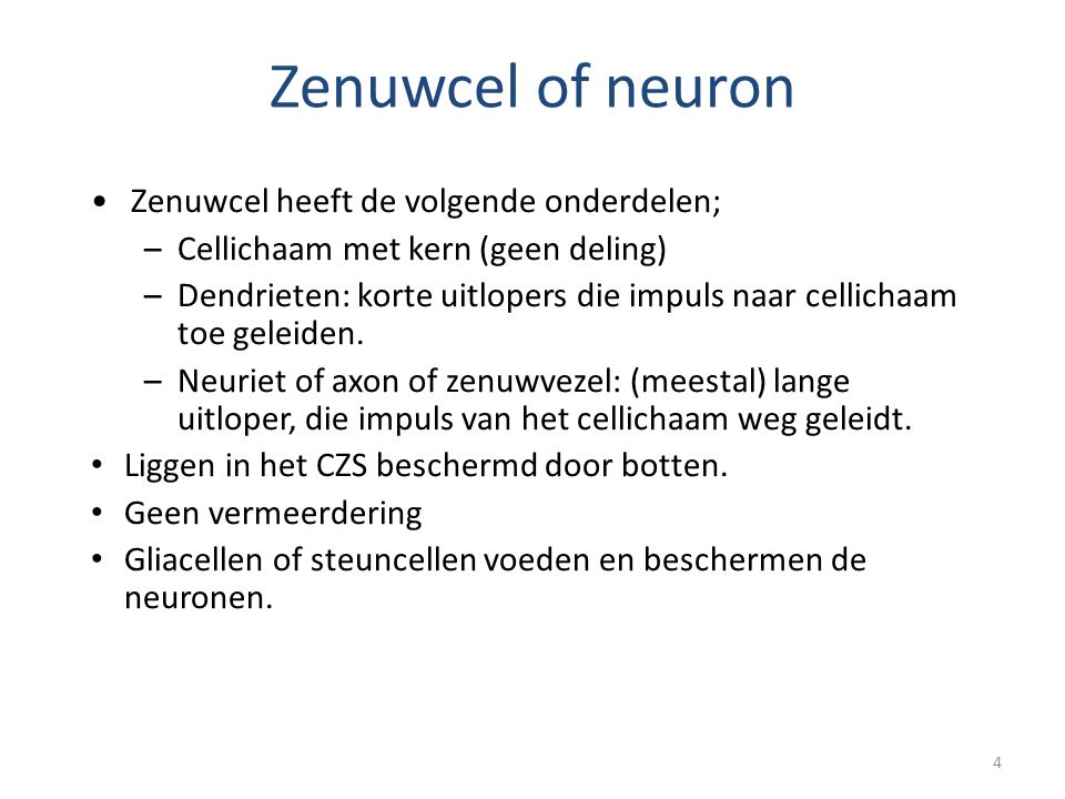 Zenuwcel of neuron Zenuwcel heeft de volgende onderdelen;