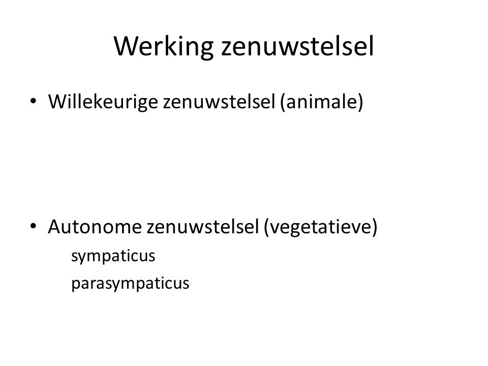 Werking zenuwstelsel Willekeurige zenuwstelsel (animale)