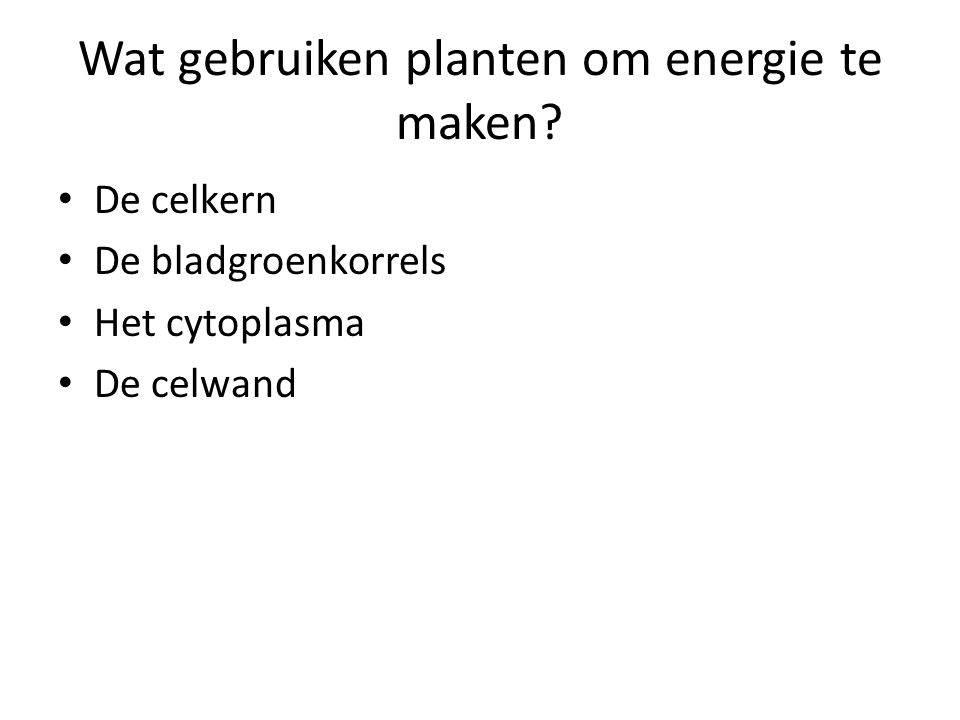 Wat gebruiken planten om energie te maken