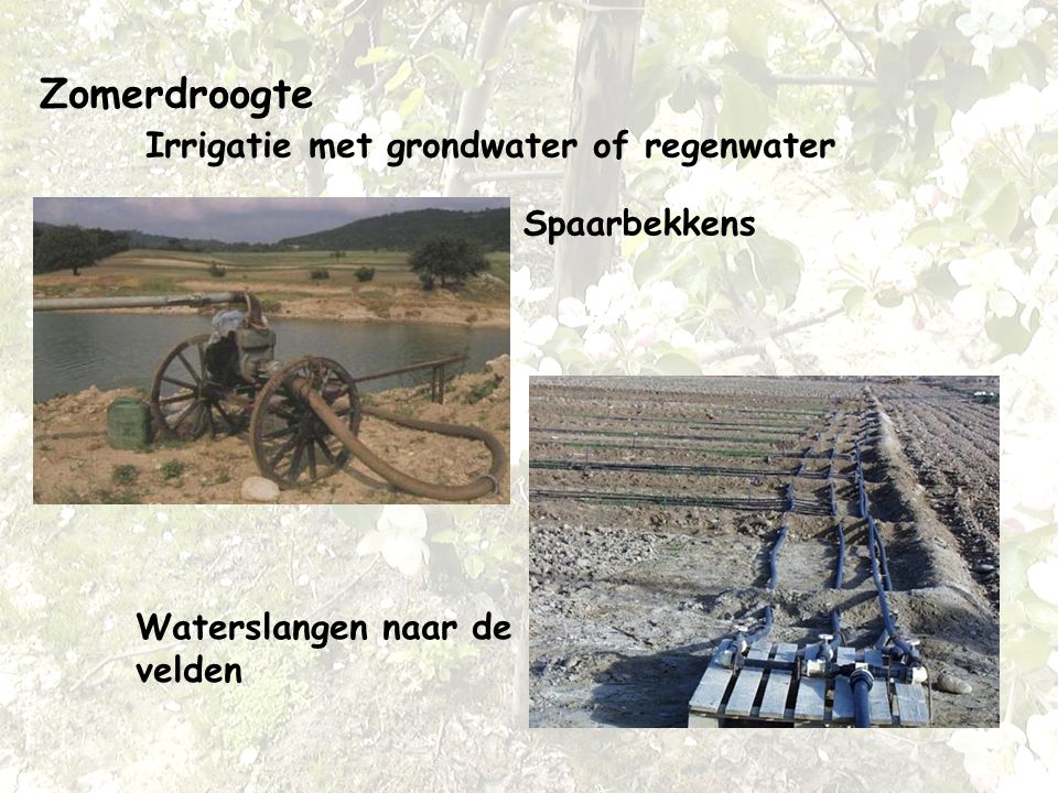 Zomerdroogte Irrigatie met grondwater of regenwater