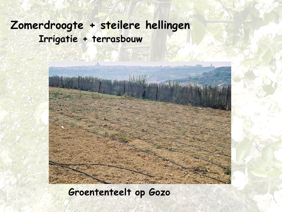 Zomerdroogte + steilere hellingen Irrigatie + terrasbouw