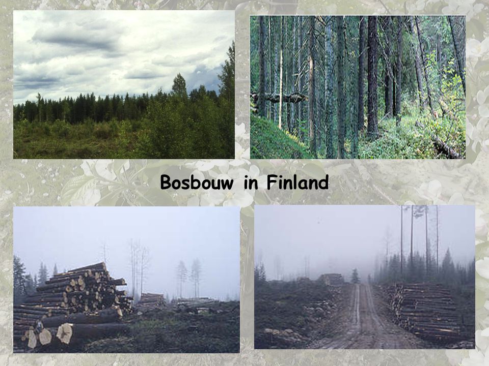 Bosbouw in Finland DIA 8. BOSBOUW IN FINLAND = voorbeeld voor Noord-Europa.