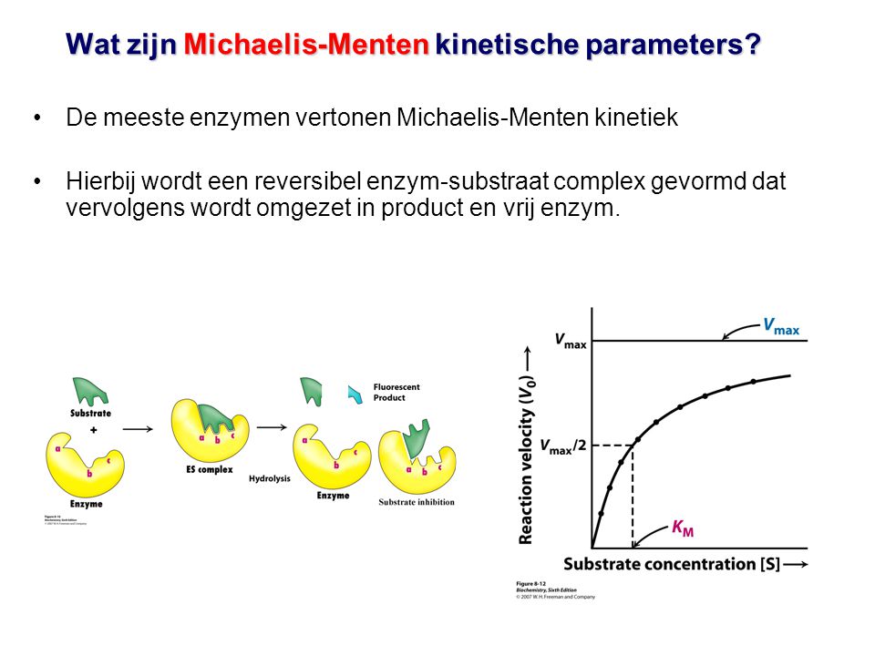 Wat zijn Michaelis-Menten kinetische parameters