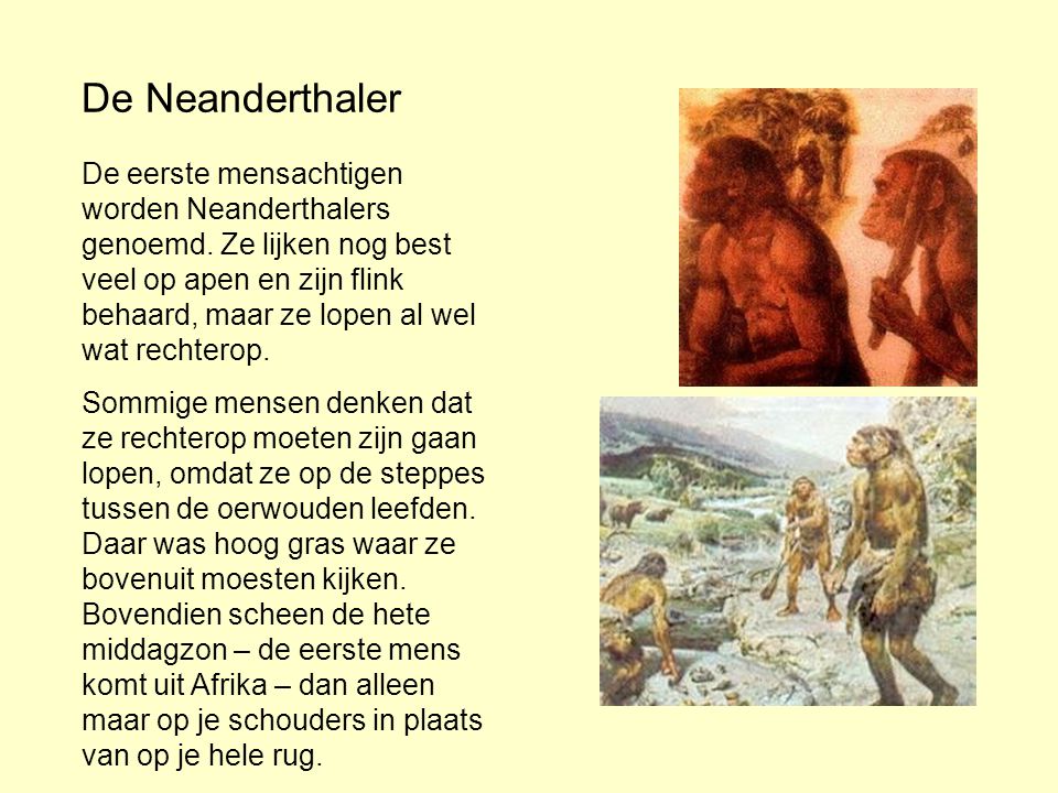 De Neanderthaler