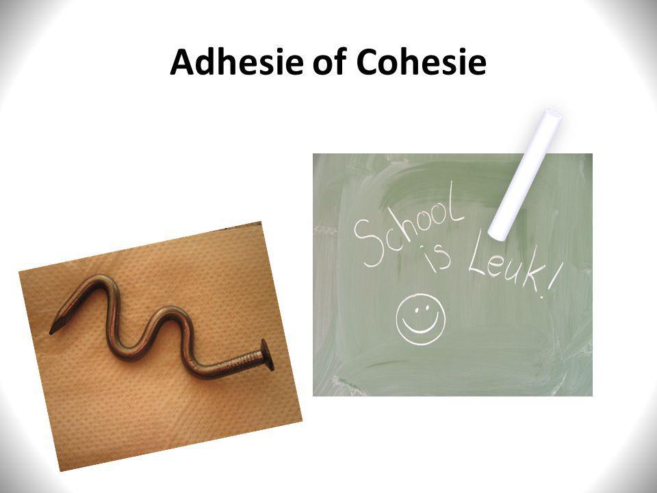 Adhesie of Cohesie