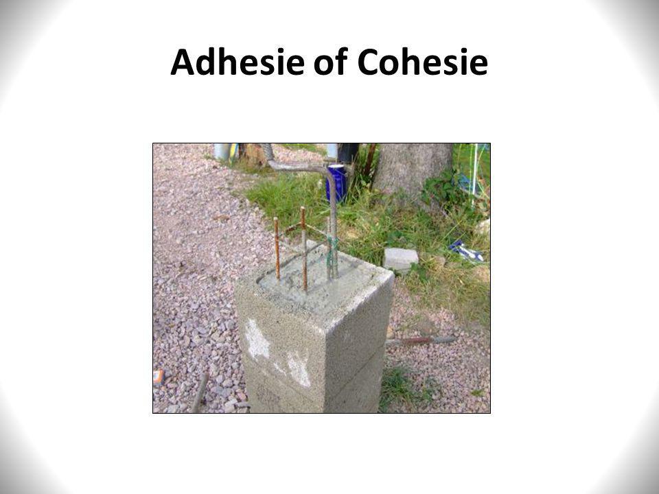 Adhesie of Cohesie