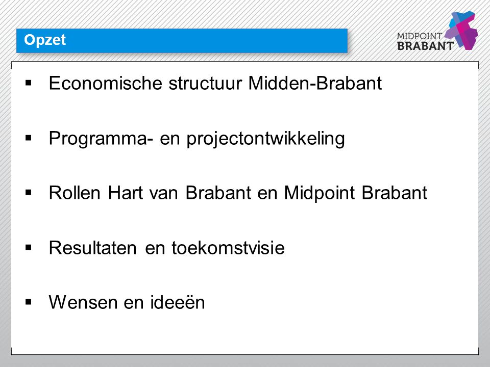 Economische structuur Midden-Brabant Programma- en projectontwikkeling