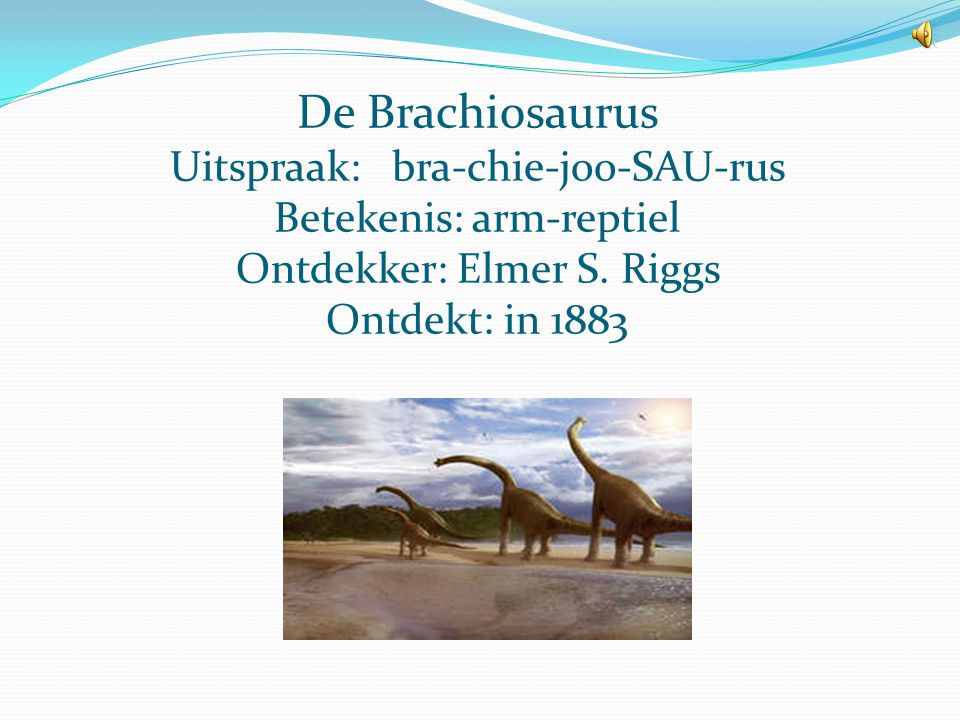 De Brachiosaurus Uitspraak: bra-chie-joo-SAU-rus Betekenis: arm-reptiel Ontdekker: Elmer S.