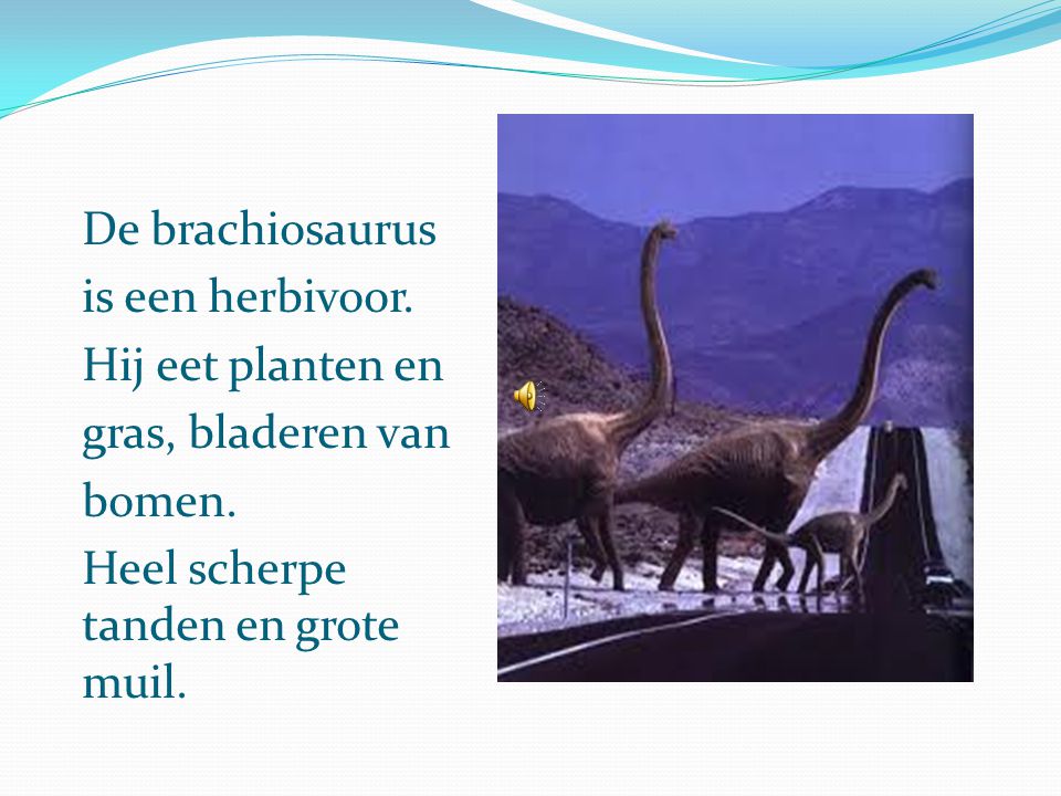 De brachiosaurus is een herbivoor. Hij eet planten en.