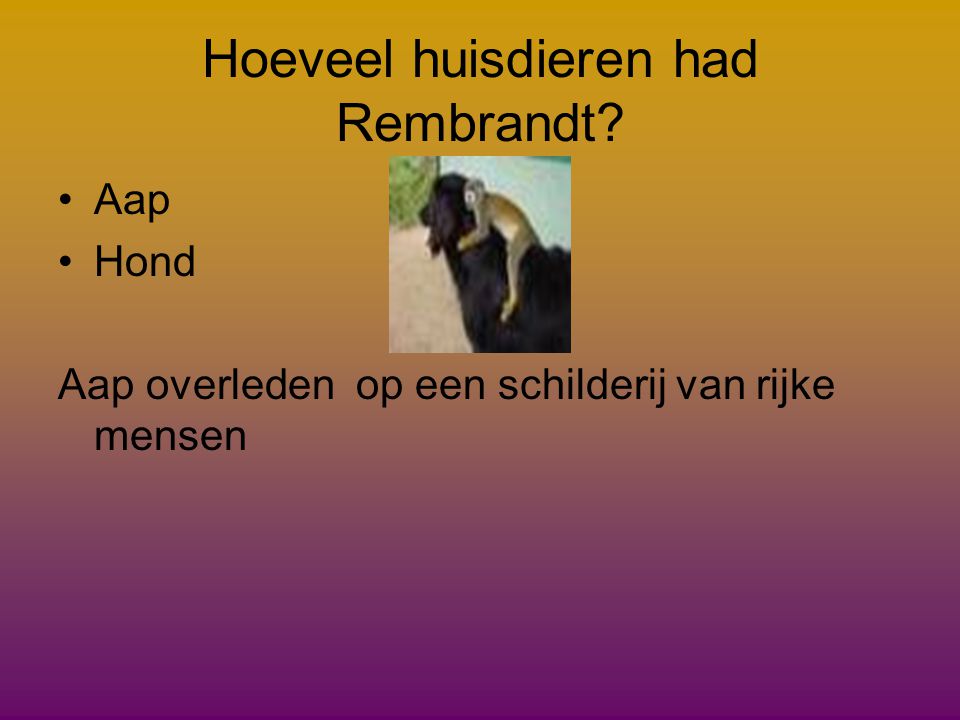 Hoeveel huisdieren had Rembrandt