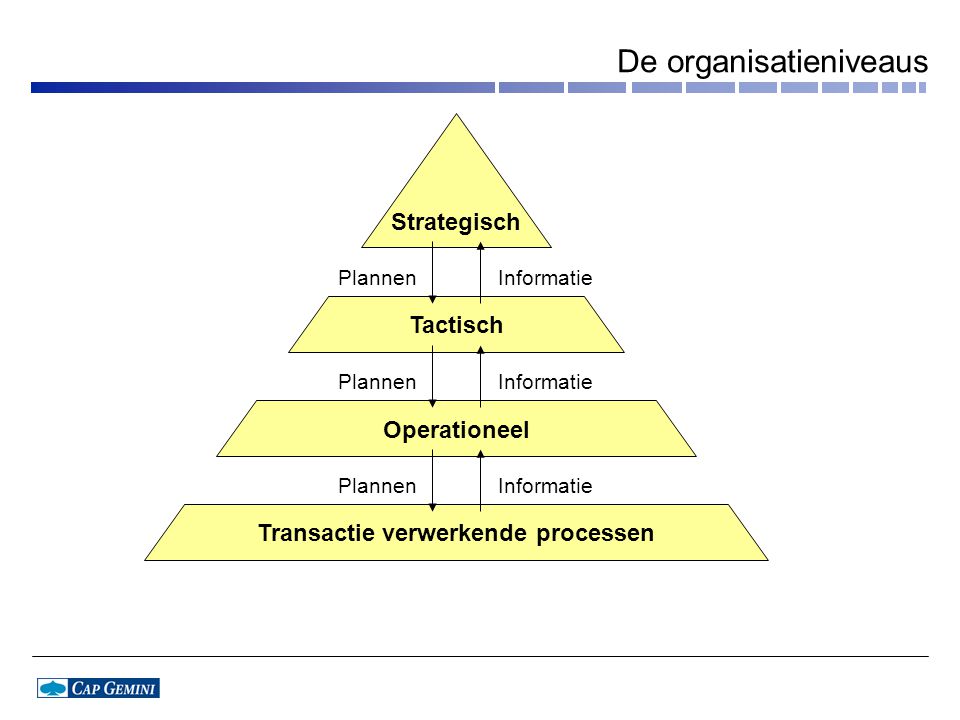 De organisatieniveaus