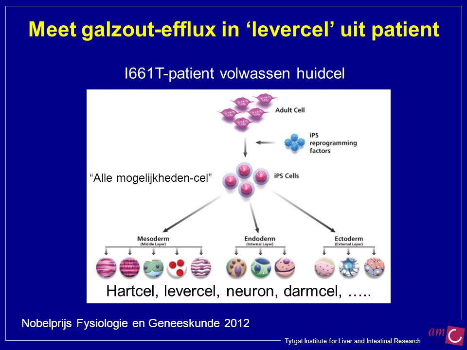 Meet galzout-efflux in ‘levercel’ uit patient