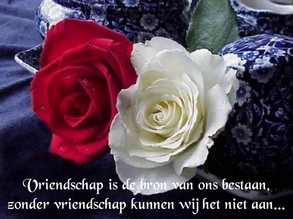 Vriendschap is de bron van ons bestaan, zonder vriendschap kunnen wij het niet aan...