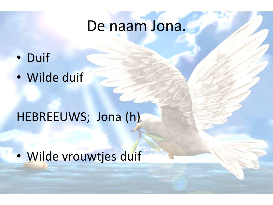 De naam Jona. Duif Wilde duif HEBREEUWS; Jona (h) Wilde vrouwtjes duif